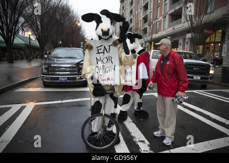 Atlanta, GA, USA. 31st Dec, 2015. Chick-fil-A cows lineup with their handlers before 2015 Peach Bowl parade in Atlanta © Robin Rayne Nelson/ZUMA Wire/Alamy Live News Stock Photo