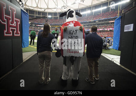 Atlanta, GA, USA. 31st Dec, 2015. Cow waits to enter Georgia Dome at Chick-fil-A Peach Bowl 2015in Atlanta © Robin Rayne Nelson/ZUMA Wire/Alamy Live News Stock Photo