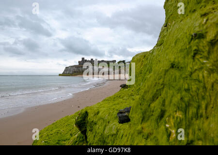 Kingsgate Castle on the cliffs above Kingsgate Bay, Broadstairs, Kent, Stock Photo