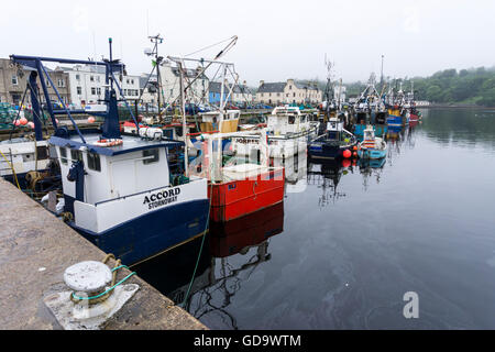 Scottish fishing boats moored in Stornoway Harbour on the Isle of Lewis in the Outer Hebrides. Stock Photo