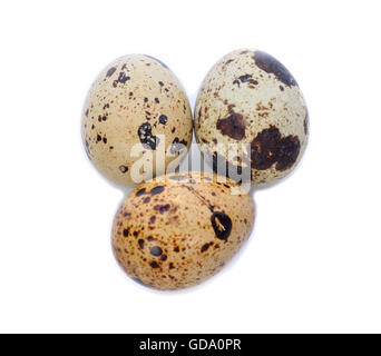 Quail egg isolated on white background Stock Photo