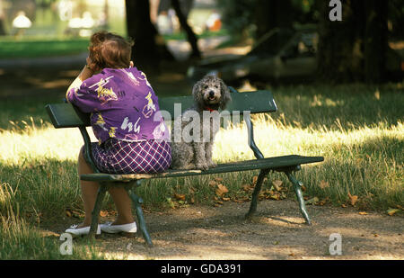 WOMAN WITH HER OLD POODLE SITTING ON A PARK BECH Stock Photo