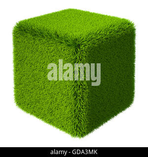 Green grass cube isolated on white background. 3d rendering Stock Photo