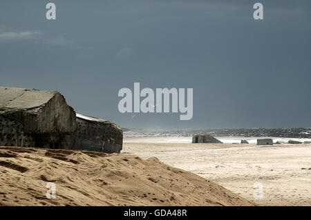 Bunkers and strong points from Hitler's Atlantic wall remains at the beach of Thyborøn. Erosion has moved or tilted some of them Stock Photo