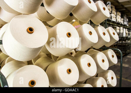 Cotton yarn spools in a textile industry. Blumenau, Santa Catarina, Brazil Stock Photo