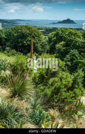 A spectacular view of St Michaels Mount from Tremenheere Sculpture Gardens in Cornwall. Stock Photo