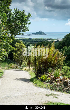 A spectacular view of St Michaels Mount from Tremenheere Sculpture Gardens in Cornwall. Stock Photo