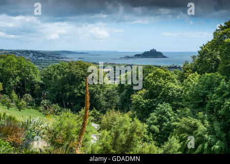 A spectacular view of St Michaels Mount from Tremenheere Sculpture Gardens in Cornwall. Stock Photo