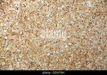 Cork board macro shot for Background or Texture Stock Photo