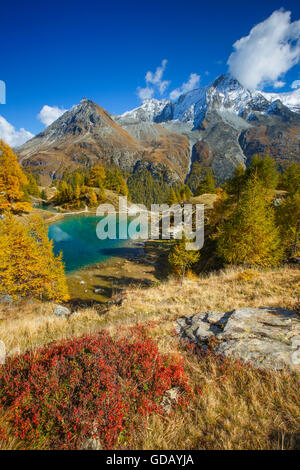 Lac Bleu,Grande Dent de Veisivi,Dent de Perroc,Valais,Switzerland Stock Photo