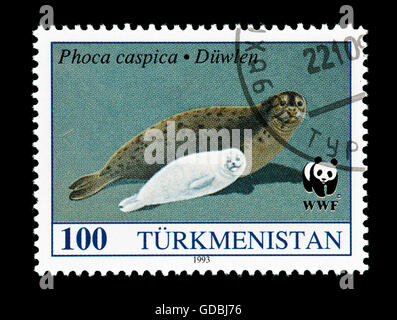 Postage stamp from Turkmenistan depicting a Caspian seal with a pup (Phoca caspica). Stock Photo