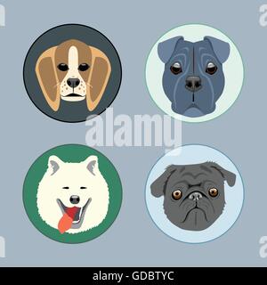 Dogs set flat style. Husky, rottweiler, taxa, victorian. Digital vector image Stock Vector