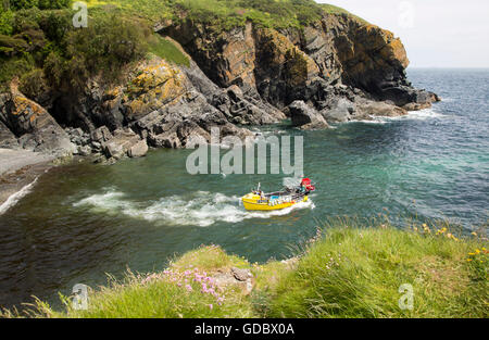Fishing boat in narrow cove Cadgwith, Lizard peninsula, Cornwall, England, UK Stock Photo