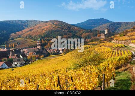 Vineyards nearby Kayserberg, Alsace, France Stock Photo