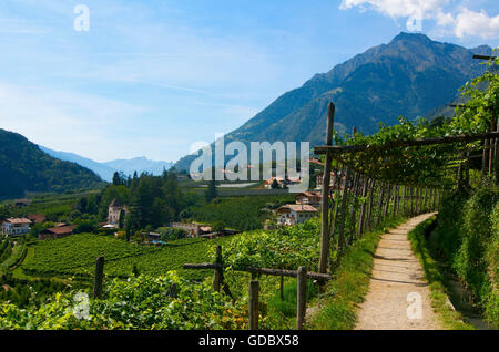 Waalweg, Hiking Trail, South Tyrol, Italy Stock Photo