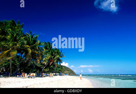 Palomino Island, Puerto Rico, Caribbean Stock Photo