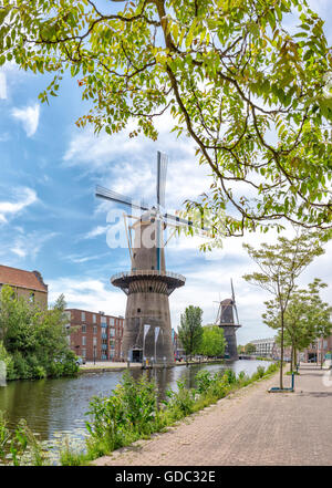 Schiedam,Tower mills at the Noordvest-canal Stock Photo