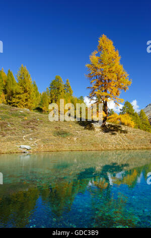 Lac Bleu,Dent de Perroc,Valais,Switzerland Stock Photo