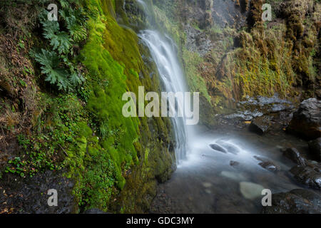 South America,Argentina,Patagonia,Rio Negro,Esquel,waterfall in the Los Alerces National park,