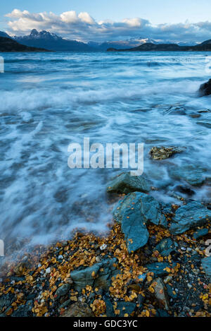 South America,Tierra del Fuego,Argentina,Ushuaia,Tierra del Fuego,National Park,inlet,sea,beach,wild,nature,landscape Stock Photo