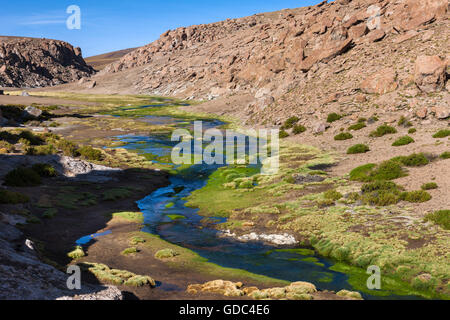 Chile,Atacama,desert Stock Photo