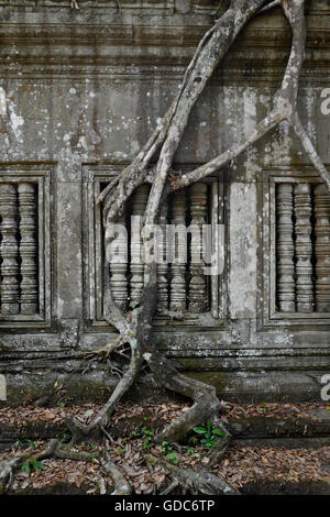 The Tempel Ruin of  Beng Mealea 32 Km north of in the Temple City of Angkor near the City of Siem Riep in the west of Cambodia. Stock Photo