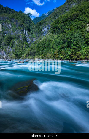 South America,Chile,Lake District,Patagonia,Puerto Varas,Rio Petrohue,Perez Rosales,National Park Stock Photo