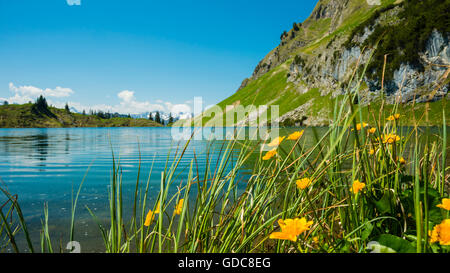 Seealpsee,Allgäu Alps,Allgäu,Bavaria,Germany,Europe Stock Photo