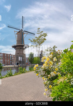 Schiedam,Tower mills at the Noordvest-canal Stock Photo