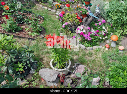 Fragment of a small flower bed on six square meters in the center of the big city. The garden is done with loving care to plants Stock Photo