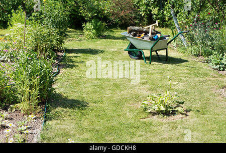 The shovel, the axe, saw, rope and stumps of trees lie in a green manual one-wheeled wheelbarrow. The wheelbarrow is on a garden Stock Photo