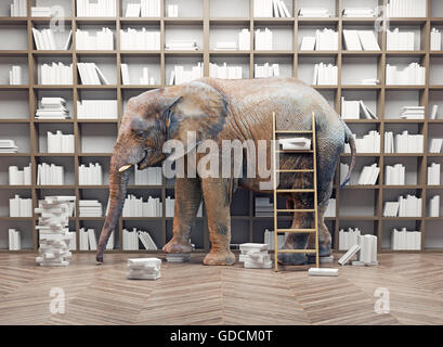 an elephant  in the room with book shelves. Creative concept Stock Photo