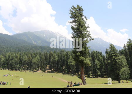 Pahalgam Valley in Jammu & Kashmir Stock Photo