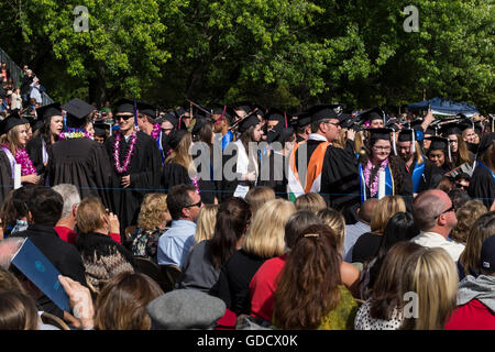 university students attending graduation ceremony at Sonoma State University in Rohnert Park in Sonoma County in California United States Stock Photo
