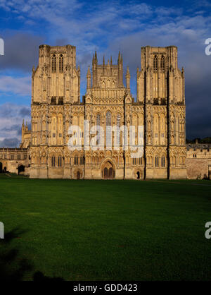 W front of Wells Cathedral (St Andrew's Church), Somerset, with nearly 400 stone figures bathed in light from the setting sun. Begun c 1230 Stock Photo