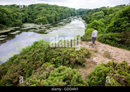 A woman looks out over Bosherston Lily Ponds a series of artificial lakes in wooded valleys of Pembrokeshire South Wales Stock Photo