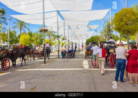 ANDUJAR,SPAIN - September, 6:  tents and umbrellas to avoid the sun during the famous Andalusian Horse Fair on September, 6, 201 Stock Photo