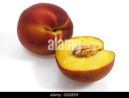 Apricot Peach, persica vulgaris, Fruits against White Background Stock Photo