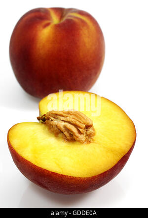Apricot Peach, persica vulgaris, Fruits against White Background Stock Photo