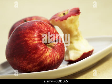 Plate with Apple and Core of Royal Gala Apple, malus domestica Stock Photo