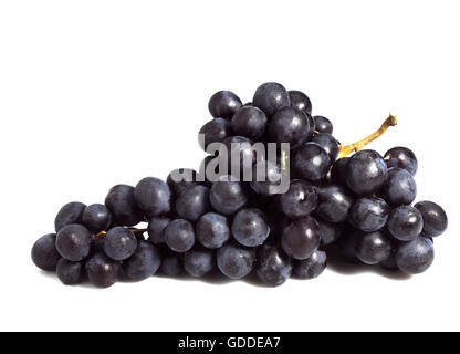 BLACK MUSCAT GRAPE vitis vinifera AGAINST WHITE BACKGROUND Stock Photo