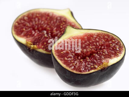 FRESH FIG AGAINST WHITE BACKGROUND Stock Photo