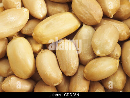 Peanuts, arachis hypogaea Stock Photo