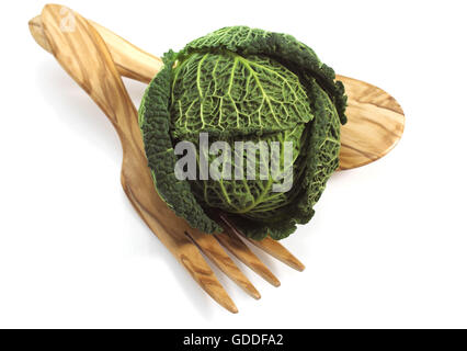 MINIATURE GREEN CABBAGE AGAINST WHITE BACKGROUND Stock Photo