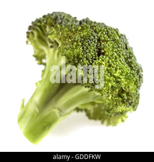 BROCCOLI CABBAGE AGAINST WHITE BACKGROUND Stock Photo