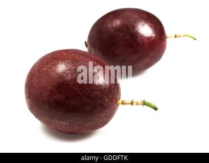 PASSION FRUIT passiflora edulis AGAINST WHITE BACKGROUND Stock Photo