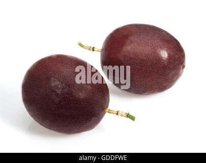 PASSION FRUIT passiflora edulis AGAINST WHITE BACKGROUND Stock Photo