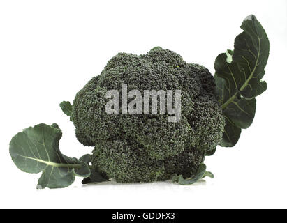 BROCCOLI CABBAGE AGAINST WHITE BACKGROUND Stock Photo
