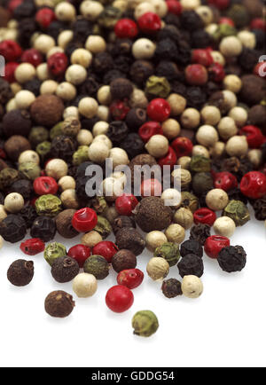 Five Peppercorns, piper nigrum, Black, Green, White, Pink and Jamaica Pepper, Berries against White Background Stock Photo
