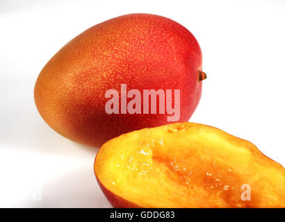 Mango, mangifera indica, Fruits against White Background Stock Photo